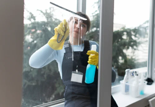 Nettoyage de vitres intérieures et extérieures à Mézériat